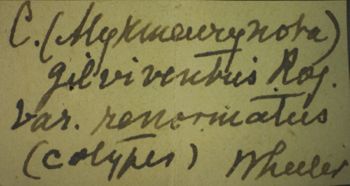 Media type: image;   Entomology 22419 Aspect: labels